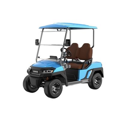 Harga yang bagus Harga terjangkau 2 kursi Electric Golf Buggy sempurna untuk keluarga dan berburu di pantai on line