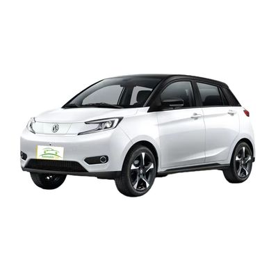 Harga yang bagus 2023 Model Mobil Listrik Murni YOUNG 302km Jangkauan 0.5h Fast Charge 4 Seat Full Load Berat 1080KG Daya Maksimal 35 100km/h on line