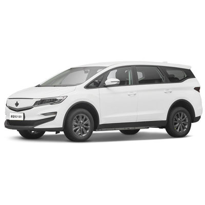Harga yang bagus 2023 Mobil listrik mewah 4 kursi Lifan Maple Leaf 80v Kendaraan energi dewasa 139L Volume bagasi on line