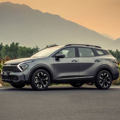 Harga yang bagus Kompak SUV Otomatis Kendaraan bensin Mobil Bahan bakar Mobil ESC Sistem Kontrol Stabilitas Elektronik Ya Baterai Berat 1000kg-2000kg on line
